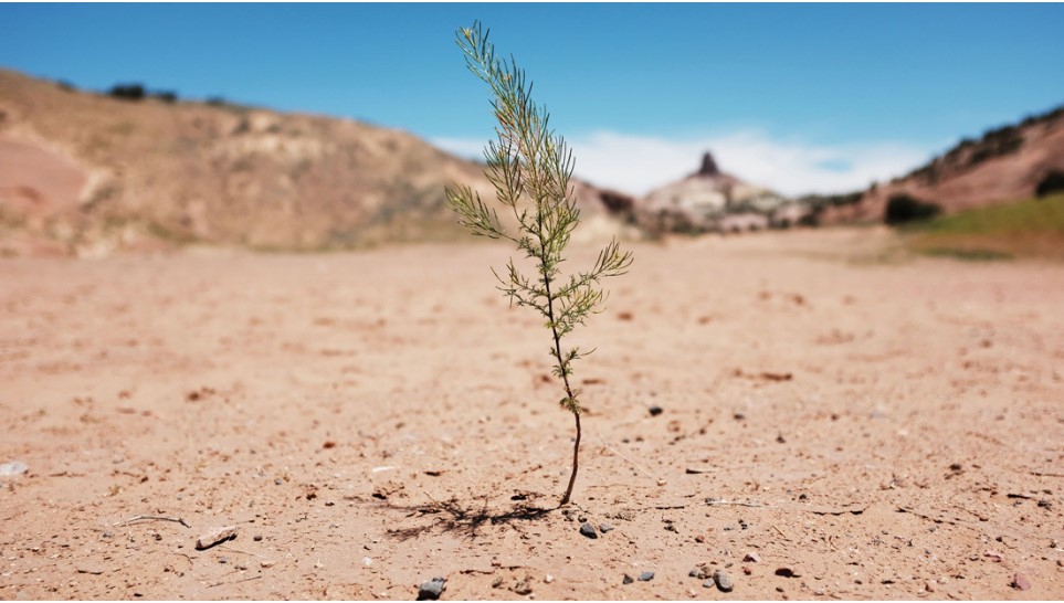 Un paisaje árido, Nuevo México, EE.UU., 7 de junio de 2019. Spencer Platt / AFP