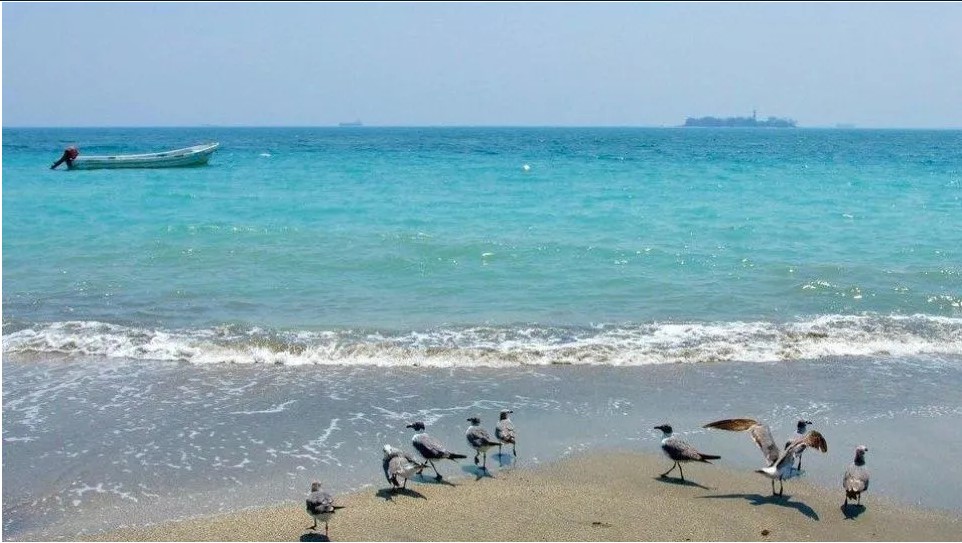 Playas de Veracruz lucen hermosas en color turquesa en cuarentena