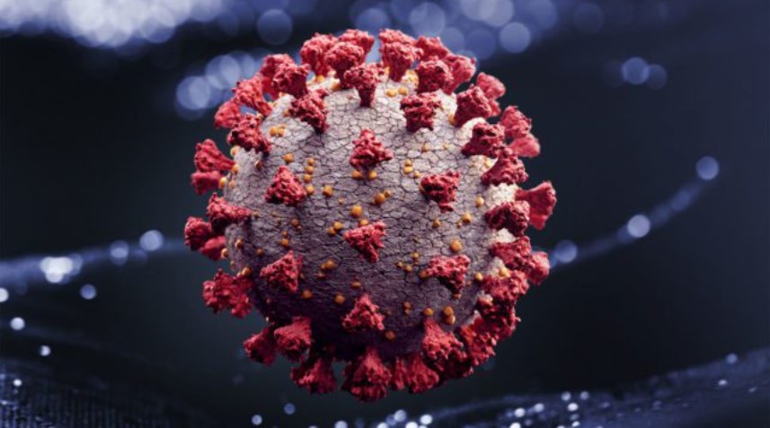 Hallan en Chipre una nueva variante del coronavirus ‘deltacron’