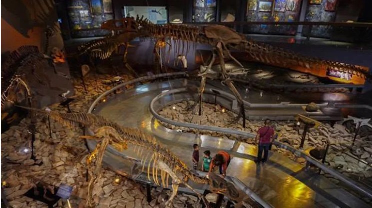 Descubren en Coahuila el primer dinosaurio carnívoro de inteligencia superior