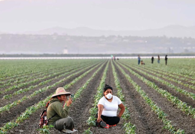 Hagamos que nos valoren’: Inician campesinos su huelga de 72 horas en EU